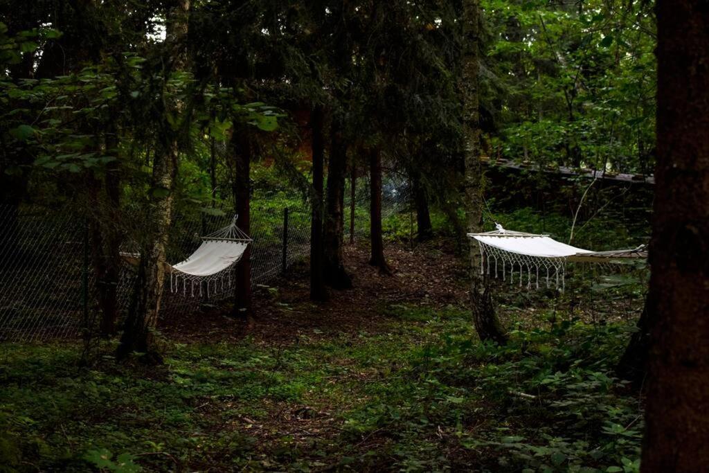Okno Na Las Wola Polska Exterior foto