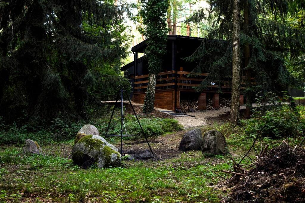 Okno Na Las Wola Polska Exterior foto